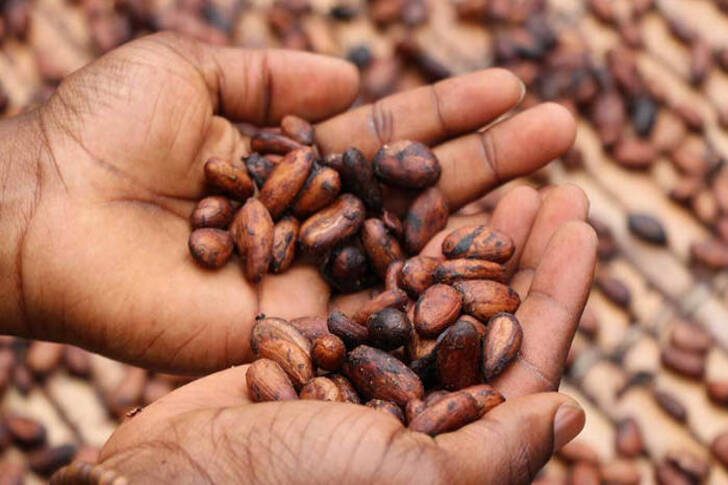 Mastering Your Coffee Experience: Flavors and Quality Tips